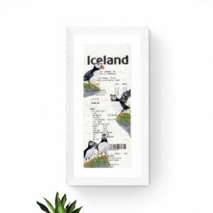 Puffins of Iceland
