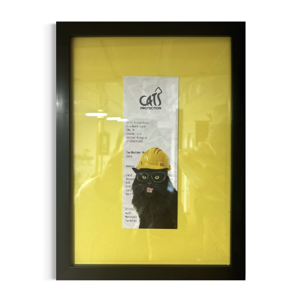 Cats Protection | B.Evans Designs